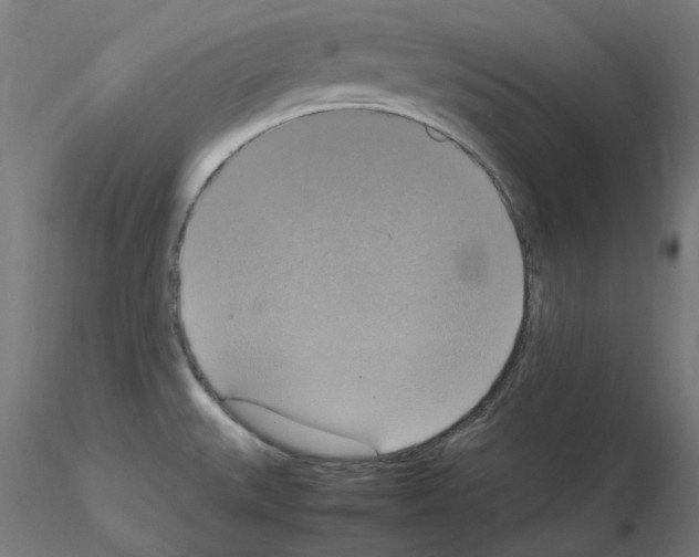 X0000115561527200912181605