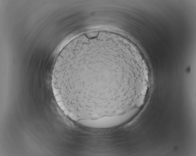 X0000115561529200912181605