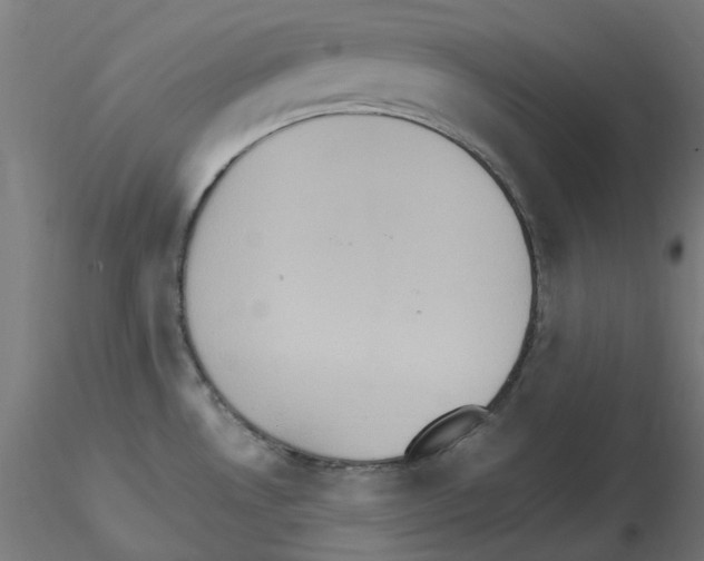 X0000115561530200912181605