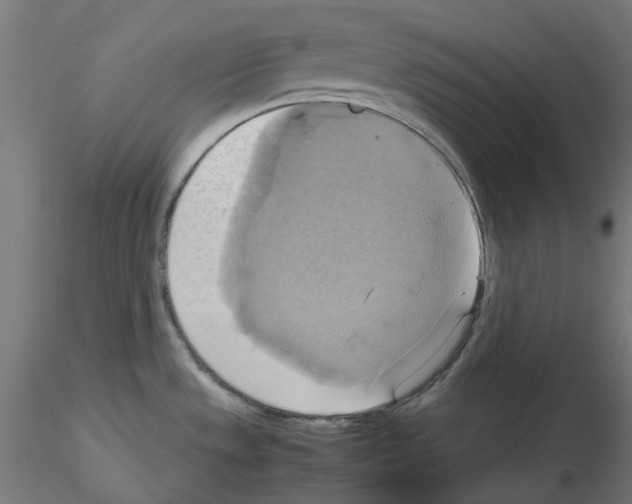 X0000115561533200912181605