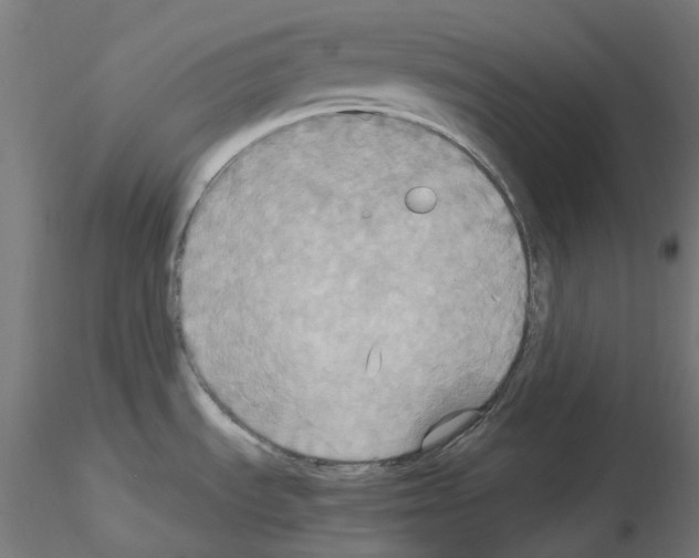 X0000115561535200912181605