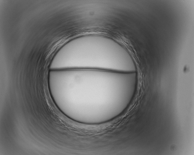 X0000115580001200911101005