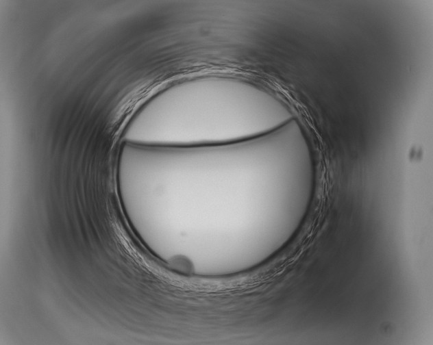 X0000115580002200911101004