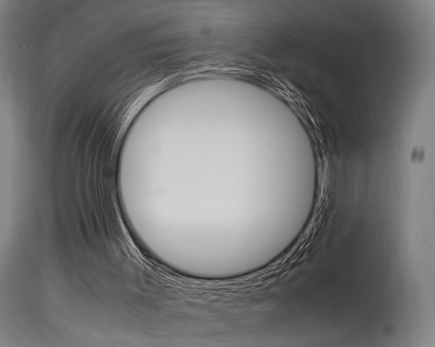 X0000115580003200911101004