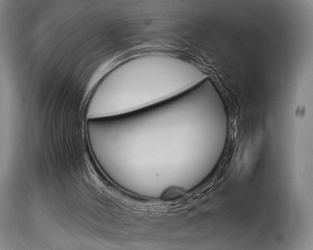 X0000115580004200911101004