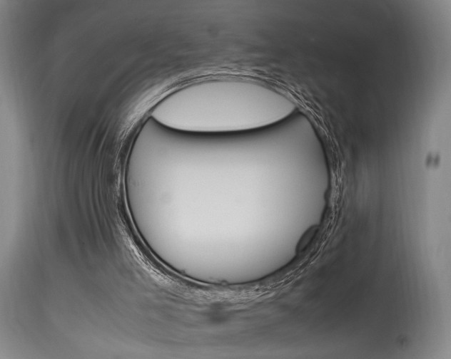 X0000115580005200911101004