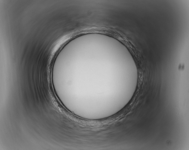 X0000115580006200911101004