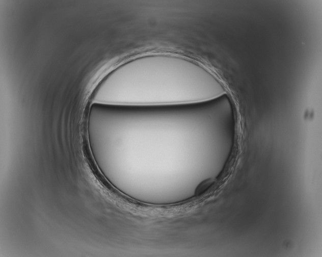 X0000115580007200911101004