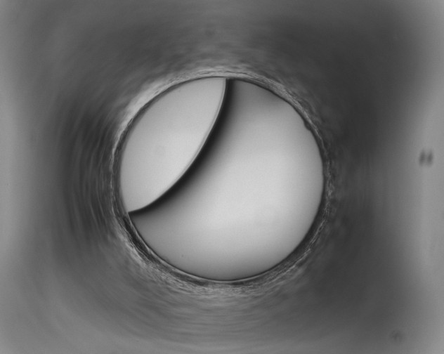 X0000115580008200911101004