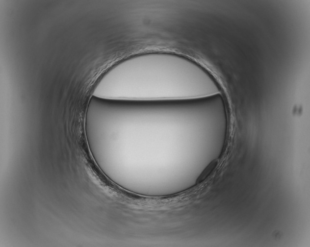 X0000115580009200911101004