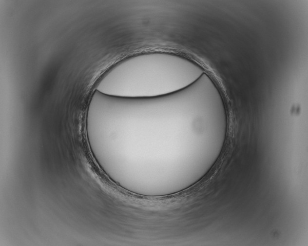 X0000115580010200911101004