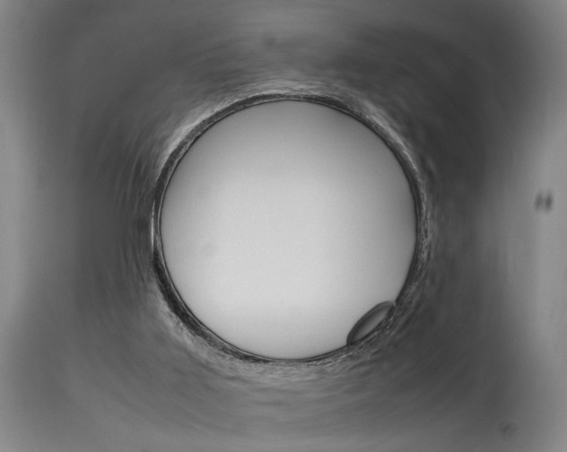 X0000115580011200911101004