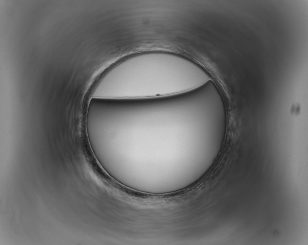 X0000115580012200911101004