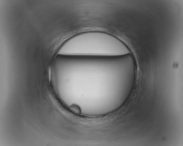 X0000115580013200911101004