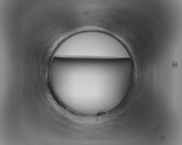 X0000115580015200911101004