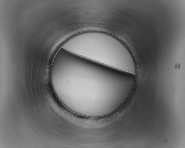 X0000115580016200911101004