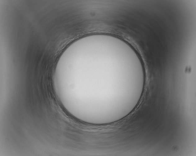 X0000115580017200911101004