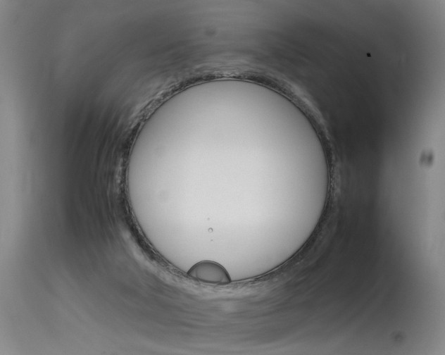 X0000115580018200911101004