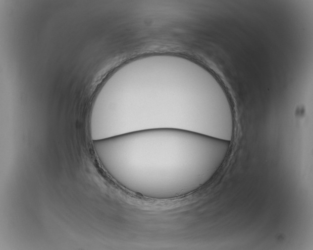 X0000115580019200911101004