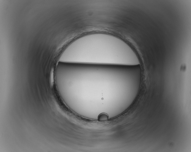 X0000115580020200911101004