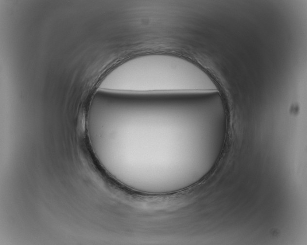 X0000115580021200911101004