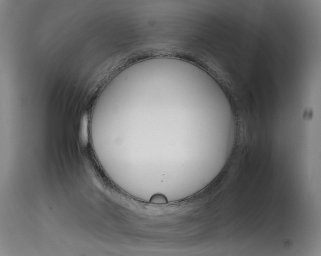 X0000115580022200911101004