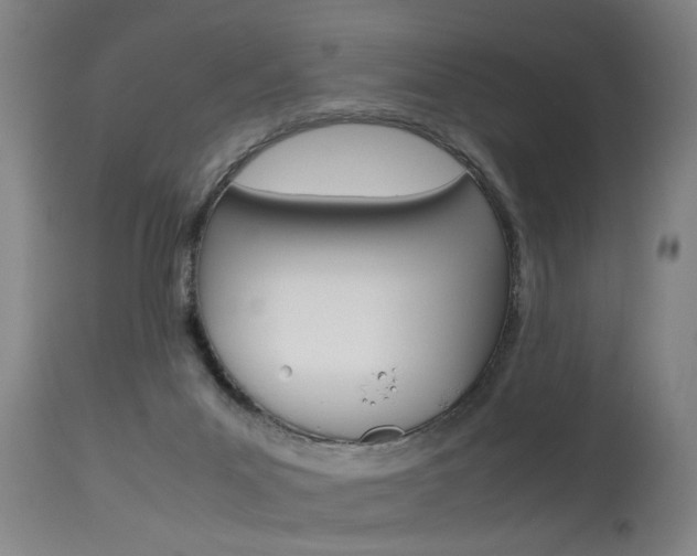 X0000115580023200911101004