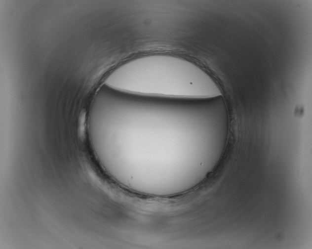 X0000115580024200911101004