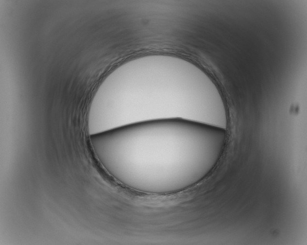 X0000115580025200911101004