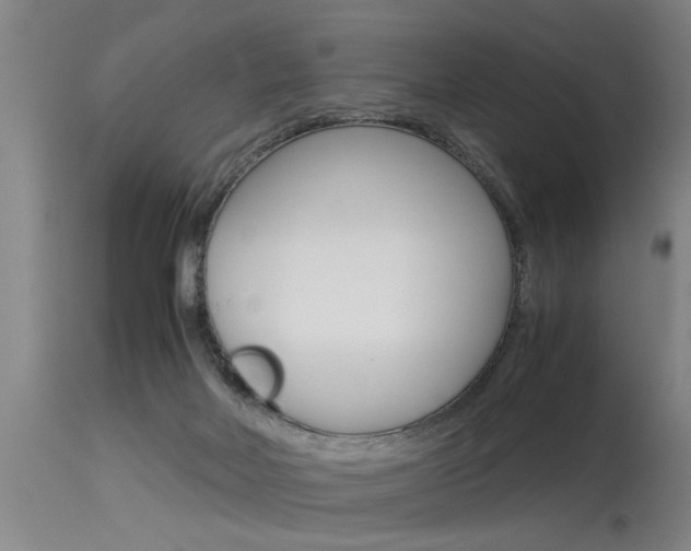 X0000115580026200911101004