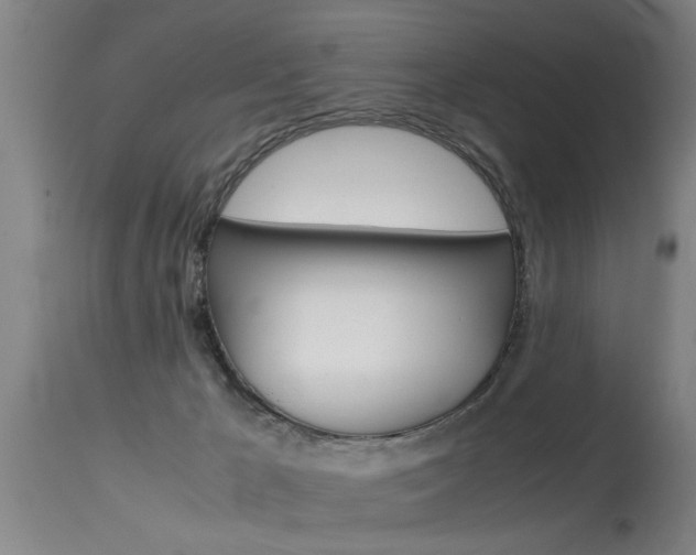 X0000115580029200911101004