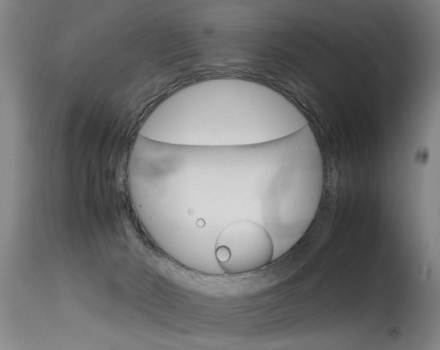 X0000115580030200911101004