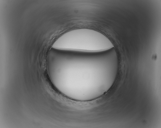 X0000115580031200911101004