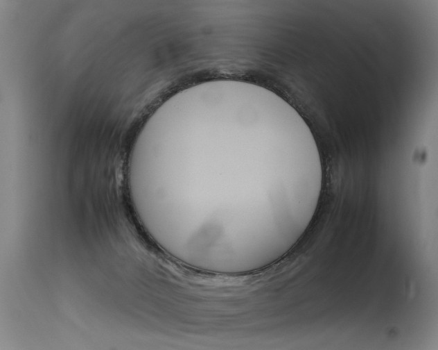 X0000115580032200911101004