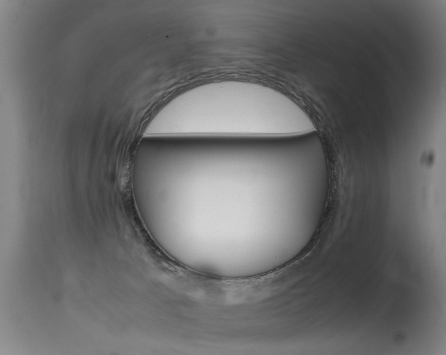 X0000115580033200911101004