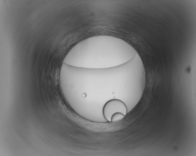 X0000115580034200911101004