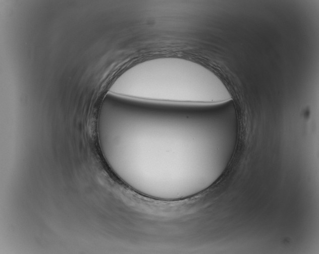 X0000115580035200911101004