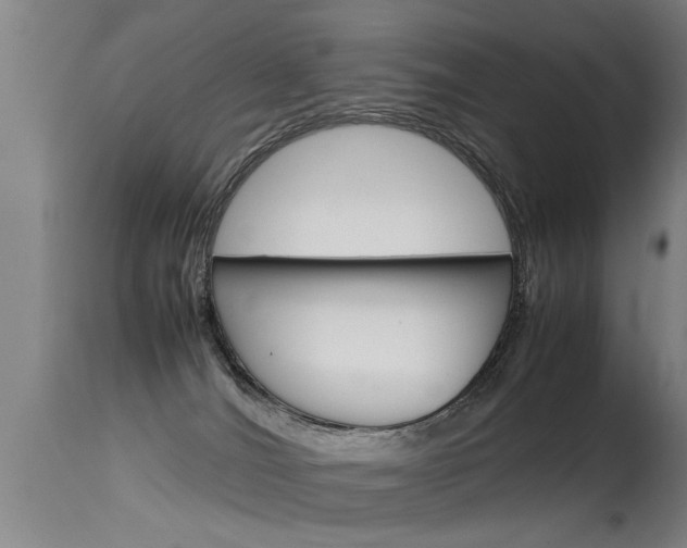 X0000115580036200911101004