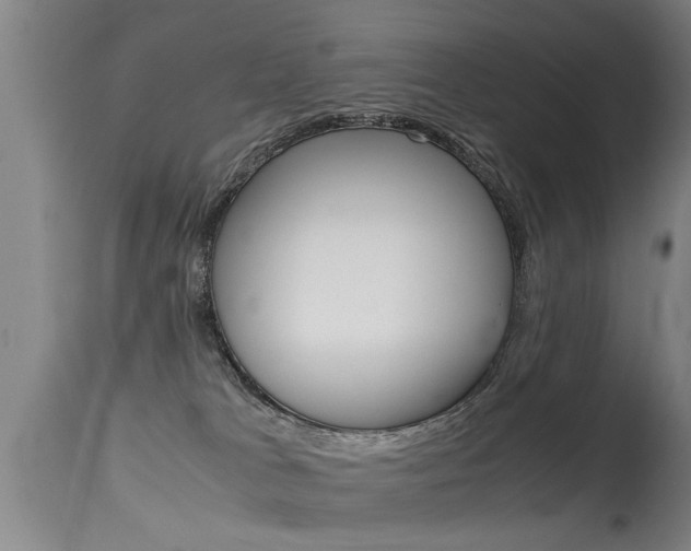 X0000115580037200911101004