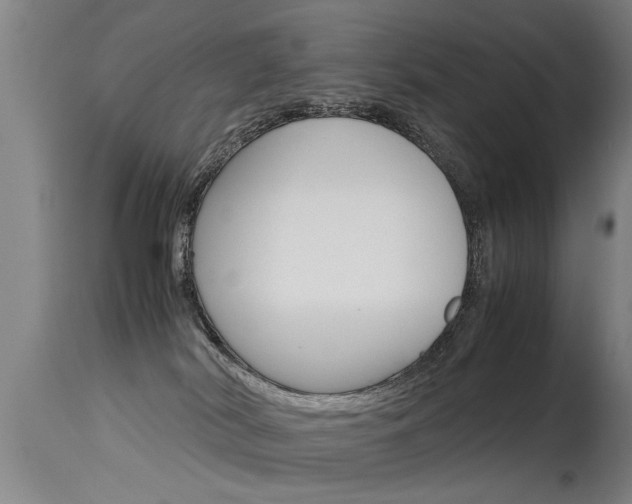 X0000115580038200911101004