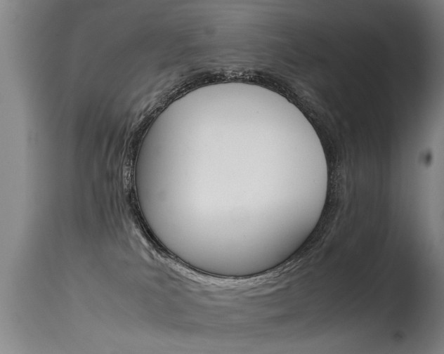 X0000115580039200911101004