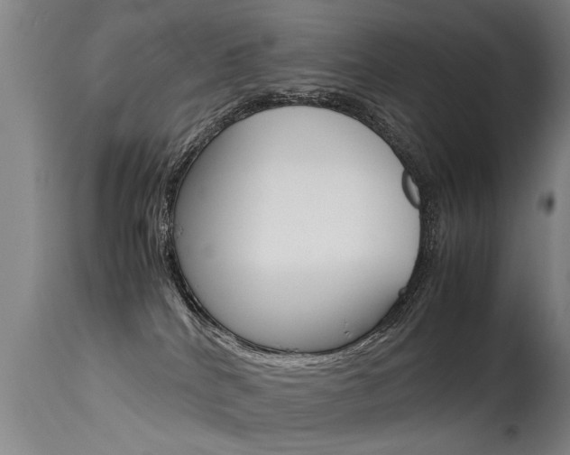 X0000115580040200911101004