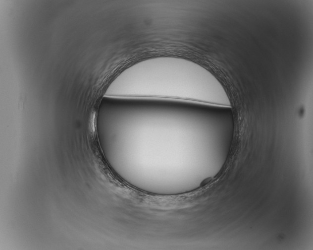 X0000115580041200911101004