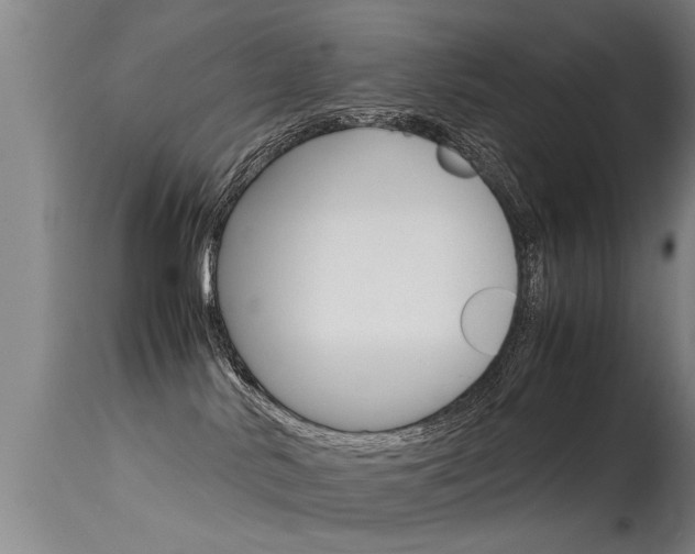 X0000115580042200911101004