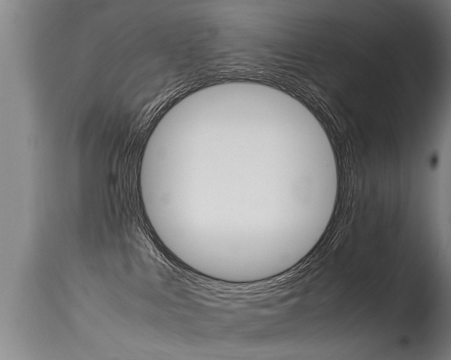 X0000115580043200911101004