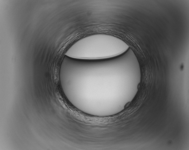 X0000115580044200911101004