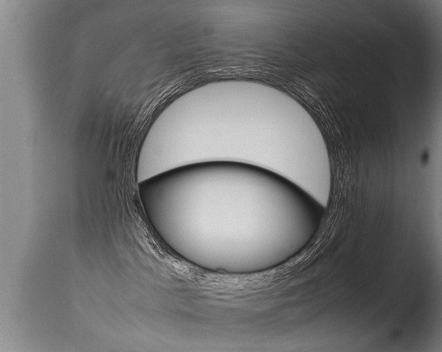 X0000115580045200911101004