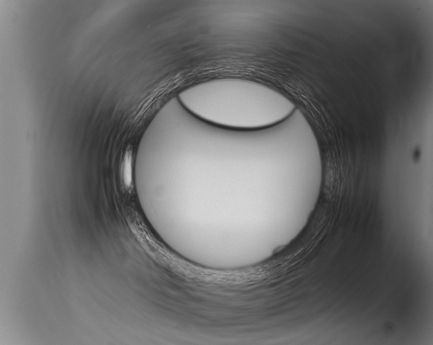 X0000115580046200911101004