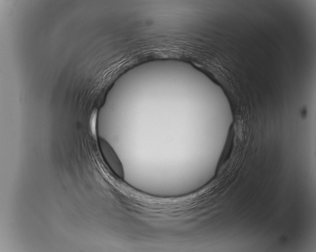 X0000115580047200911101004