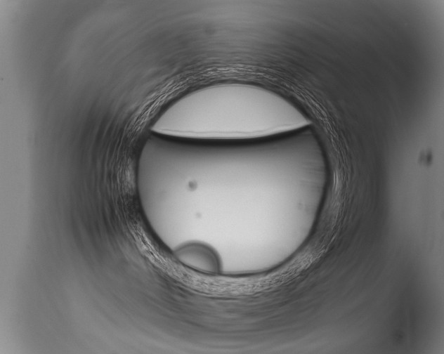 X0000115580048200911101004